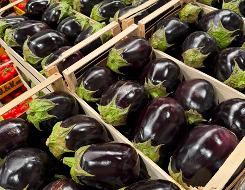 Melanzane - Sicilia - 1,40 euro al chilogrammo